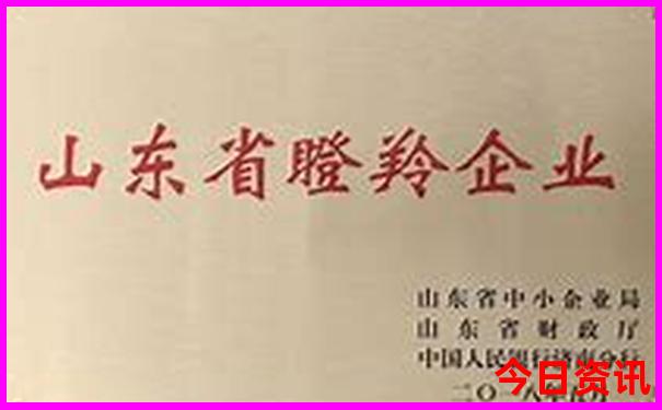 暑假哪个省比较凉快
